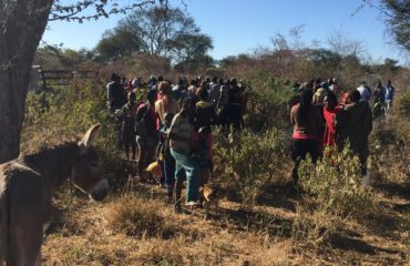 Trophy hunt elephant feeds a hungry village