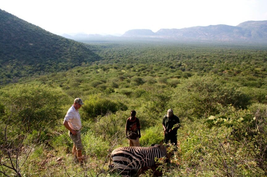 Schalk Pienaar Safaris Namibia ~ Burchell's Mountain Zebra Hunting