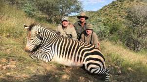 Schalk Pienaar Hunting Safaris Namibia 2018 Trophy ~ Hartmann's Mountain Zebra
