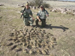 Schalk Pienaar Safaris Namibia ~ Wingshooting Sand Grouse