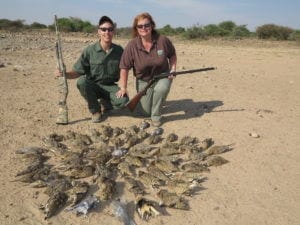 Schalk Pienaar Safaris Namibia ~ Wingshooting Sand Grouse