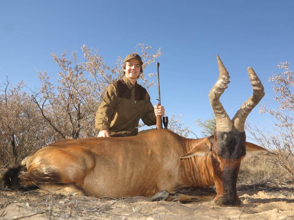 red hartebeest outfitter south africa