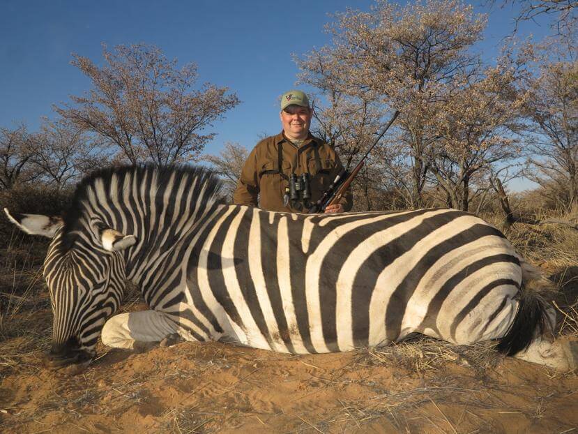 zebra hunting south africa