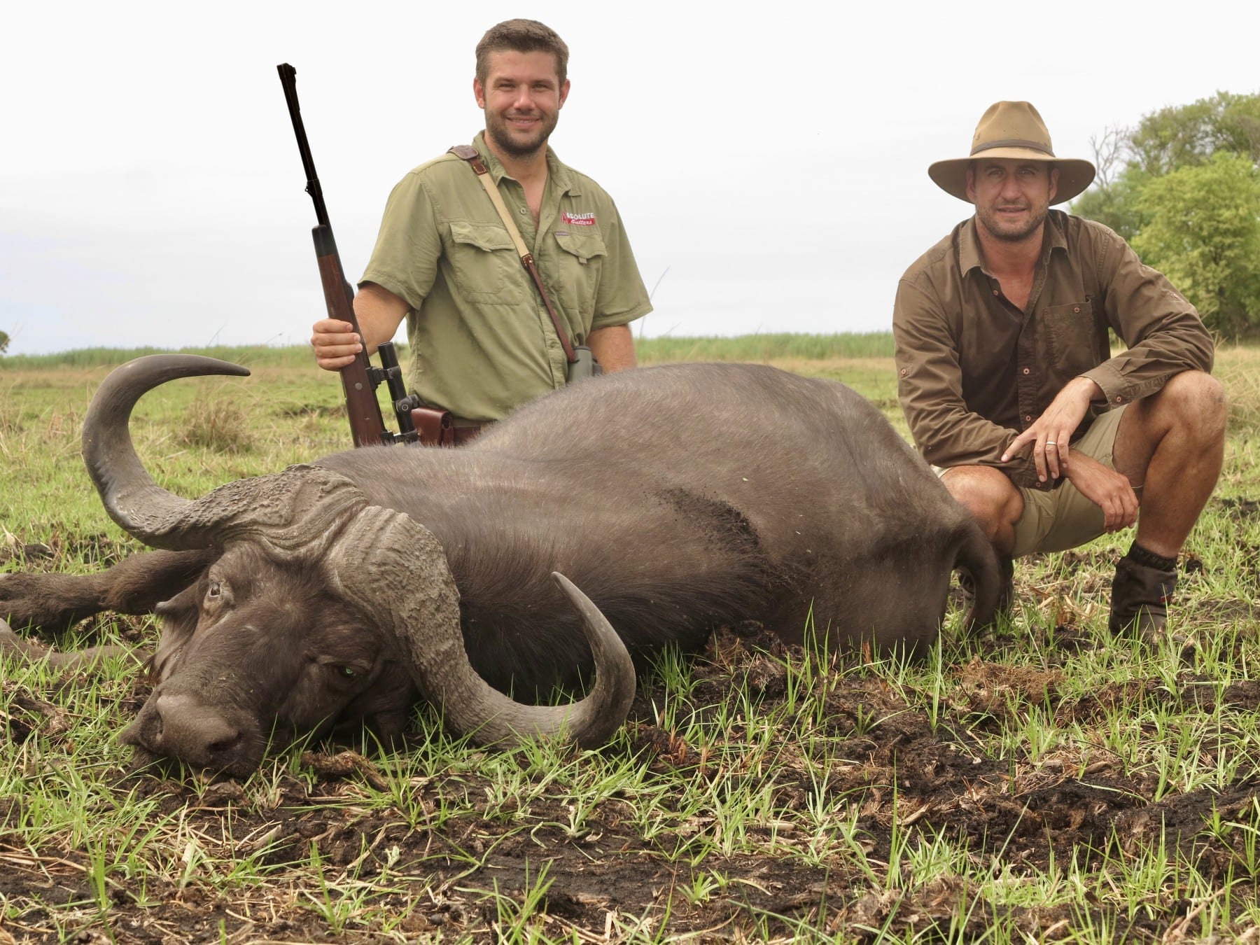 buffalo hunt namibia