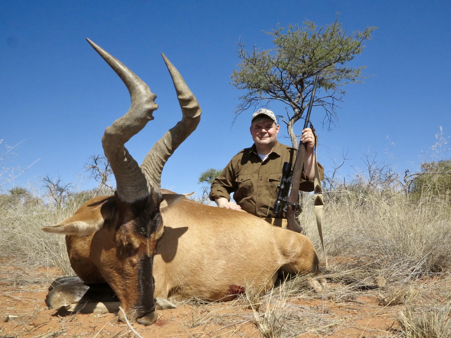 south africa red hartbeest hunt