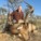 Schalk Pienaar Safaris Namibia ~ Red Hartebeest Hunting