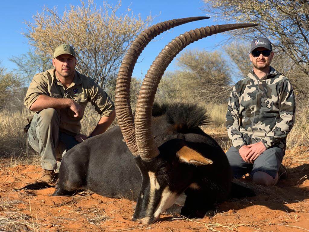 sable hunting ~ schalk pienaar safaris namibia