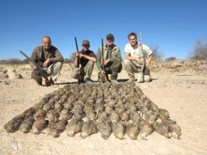 Schalk Pienaar Safaris Namibia ~ Wingshooting Sand Grouse