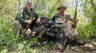 Schalk Pienaar Hunting Safaris Namibia 2018 Trophy ~ Cape Buffalo