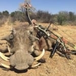Schalk Pienaar Safaris Namibia ~ Bow hunting Warthog