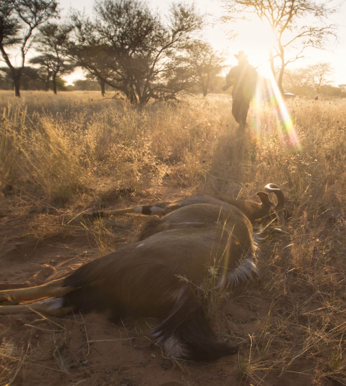 Schalk Pienaar Safaris Namibia - Wildlife Conservation