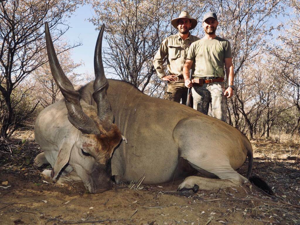 Eland hunt namibia ~ schalk pienaar safaris namibia