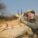Schalk Pienaar Safaris Namibia ~ Steenbuck Hunting