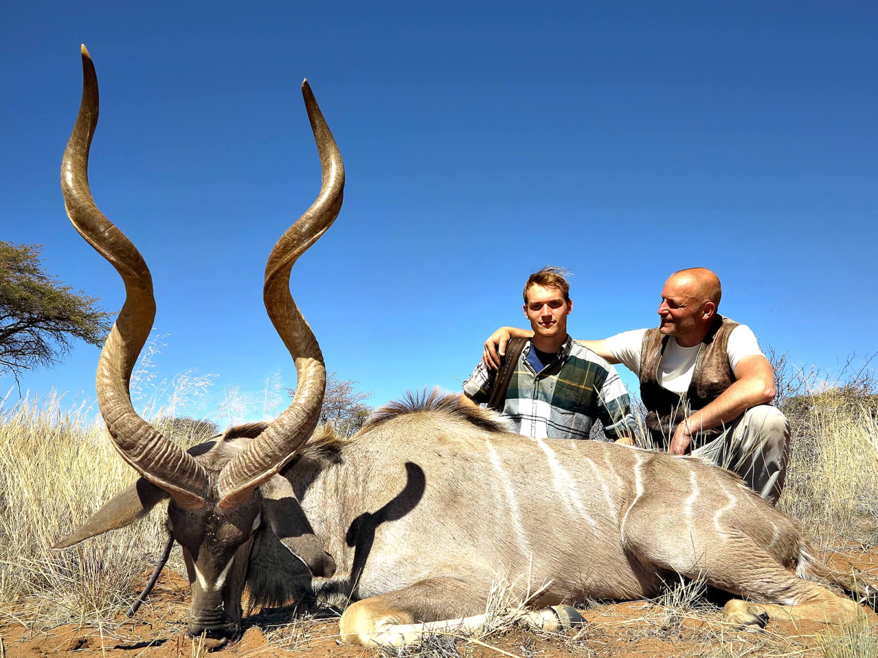 Kudu Hunting » Schalk Pienaar Hunting Safaris in Namibia